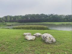 -两河城市森林公园