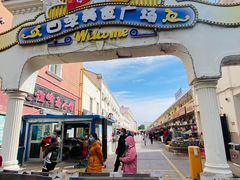 -煲来饱去冷水鱼