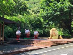 -大雁山风景区