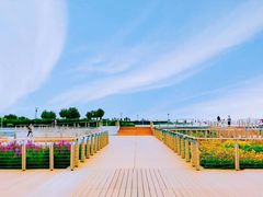 -东疆建设开发纪念公园