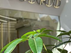 -Onirii Coffee(长乐路店)