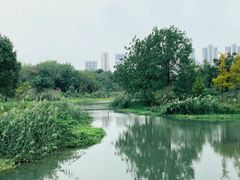 -洋湖国家湿地公园