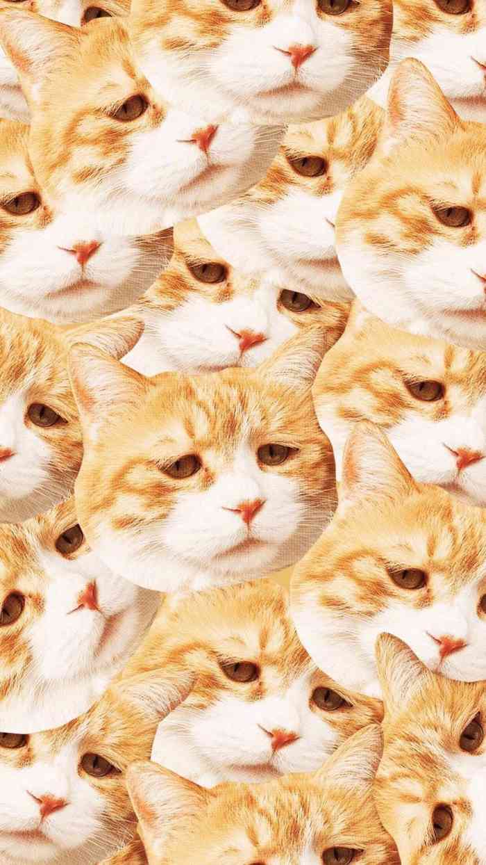 0614/人點的是外賣11566雞蛋布甸奶茶97大杯,選的是金萱烏龍