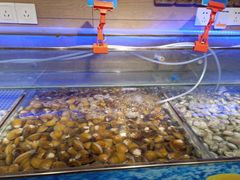 -蒙肥羊·酸汤潮牛·鲜牛肉火锅烤肉自助(岗顶店)