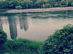 -后襄河公园