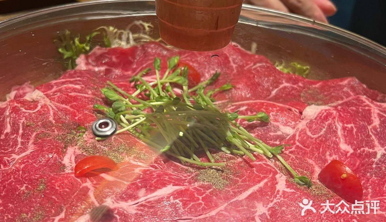  被胖鼓鼓的河豚鱼吸引