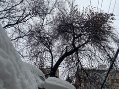 -北京西山滑雪场