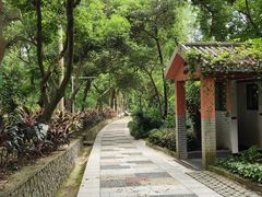 -广西壮族自治区药用植物园