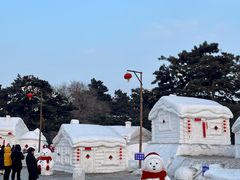 -长春市南湖公园