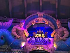 -哈尔滨波塞冬海底世界