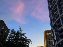 -板樟山森林公园