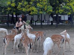 -北京麋鹿生态实验中心