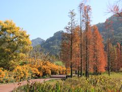 -广州市石门国家森林公园