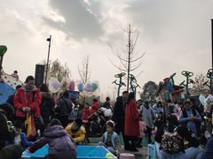 -两河城市森林公园