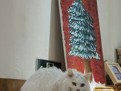 -有猫主题·治愈系猫咖(曾厝垵店)