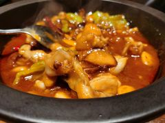 -云海肴·汽锅鸡·云南菜(美罗城店)