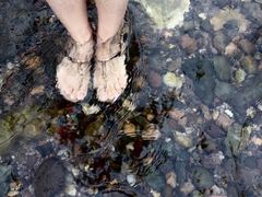 -白河湾山水缘民宿