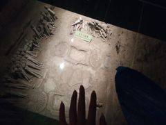 -汉景帝阳陵博物院