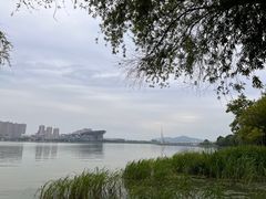 -高子水居
