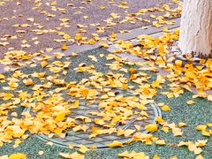 -浙江大学(紫金港校区)