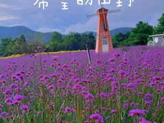 -名花谷生态庄园