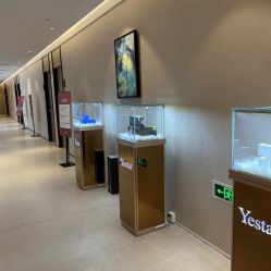 -Yestar 嘉兴艺星医疗美容医院