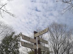 -高子水居