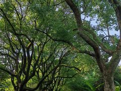-中国湖笔博物馆(莲花庄路)