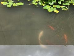 -中国湿地博物馆