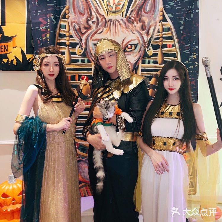 帕贝斯特猫花园|埃及艳后的万圣夜🎃🎃