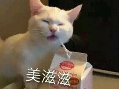 -伊斯坦布尔土耳其清真咖啡餐厅