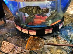 -陶陶居海鲜酒家(新马路店)