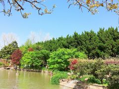 -嘉定紫藤园