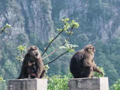 -梵净山旅游区