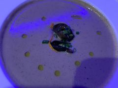 -MOSSO德国餐厅·音乐酒吧(环宇荟店)