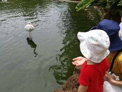 -海南热带野生动植物园