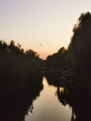 -科雯瑜伽
