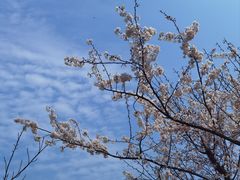 -长沙园林生态园