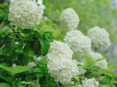 -大龙山(地铁站)