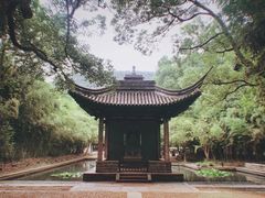 -五泄景区