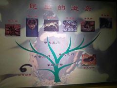 -上海昆虫博物馆