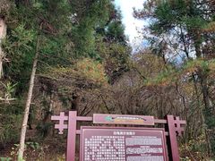 -天岳幕阜山