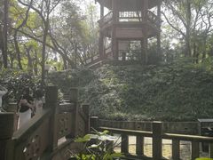 -房湖公园