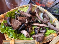 -滇野云南野生菌餐厅(陕西南路店)