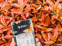 -百分茶(九洲新世界店)