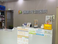 -瑞鹏宠物医院·骨外科·心肾科·肿瘤科(九亭店)