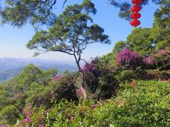 -广州市白云山风景名胜区