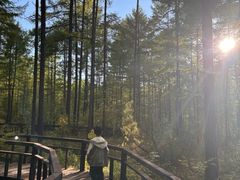 -莫尔道嘎国家森林公园