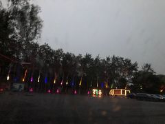 -枫花园汽车电影院(朝阳公园店)