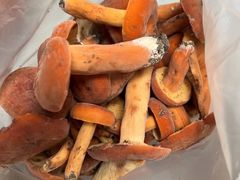 -福照楼汽锅鸡·云南菜(护国路店)